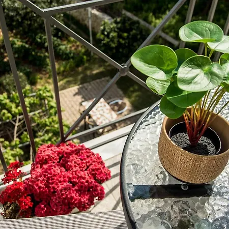 Aella * Skala (Kefalonia)